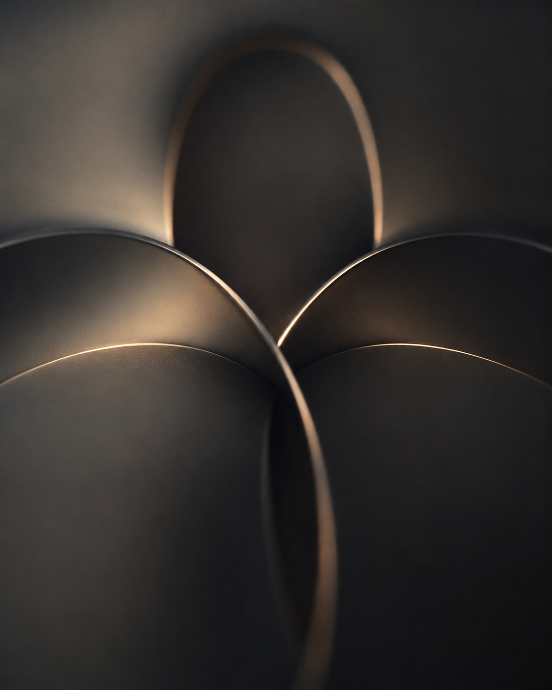 Abstract macro of the Nalom Knot, four overlapping forms catching light